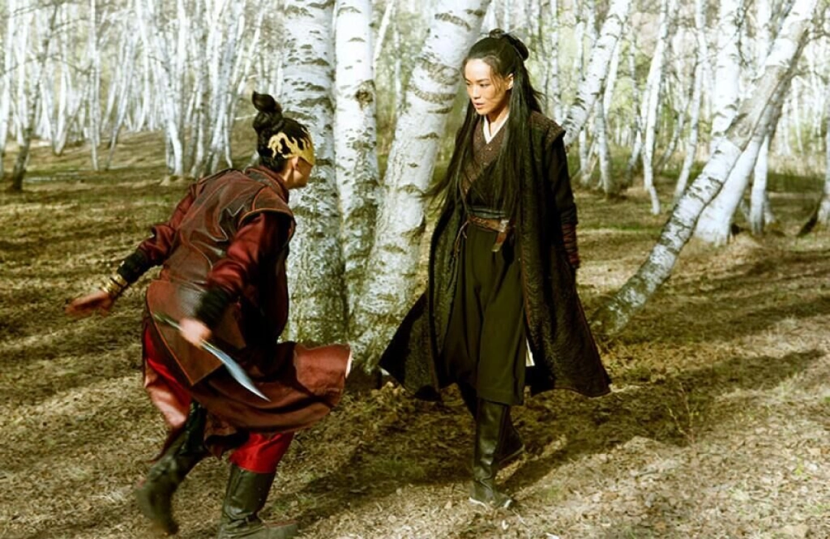 Cinematic Beauty: The Assassin